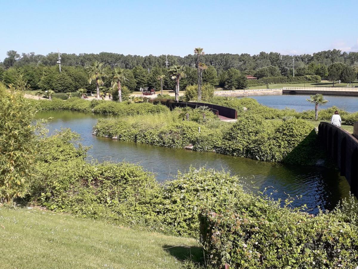 Céntrico y con encanto en tierra de vinos Logroño Exterior foto